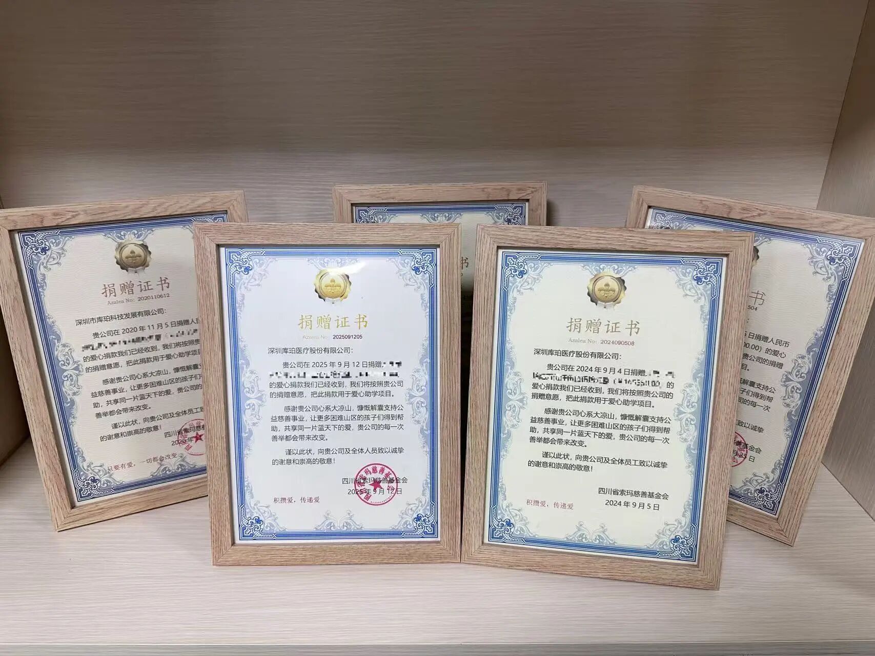 1763968959722920.jpg 5555555555555555555555555555555552.jpg