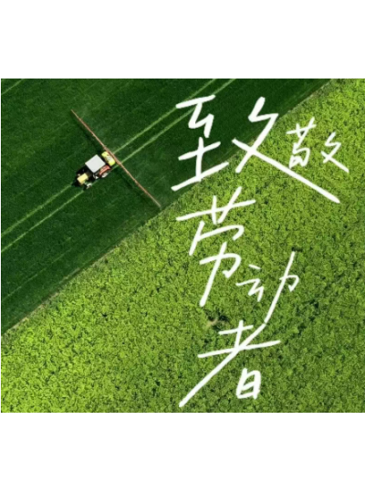 劳动节丨所有耕耘 终有收获